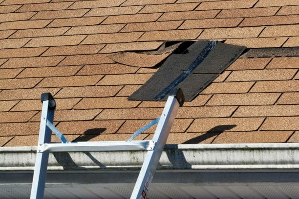 Professional Roofing In Pittsburgh, CA