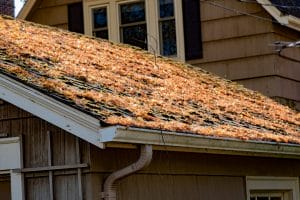 spring roof prep, spring roof maintenance, seasonal roof maintenance, Pittsburgh