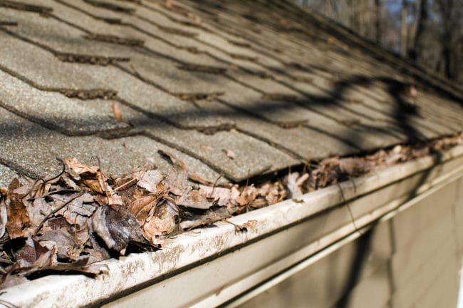 common causes of roof damage, roof damage causes, roof damage signs
