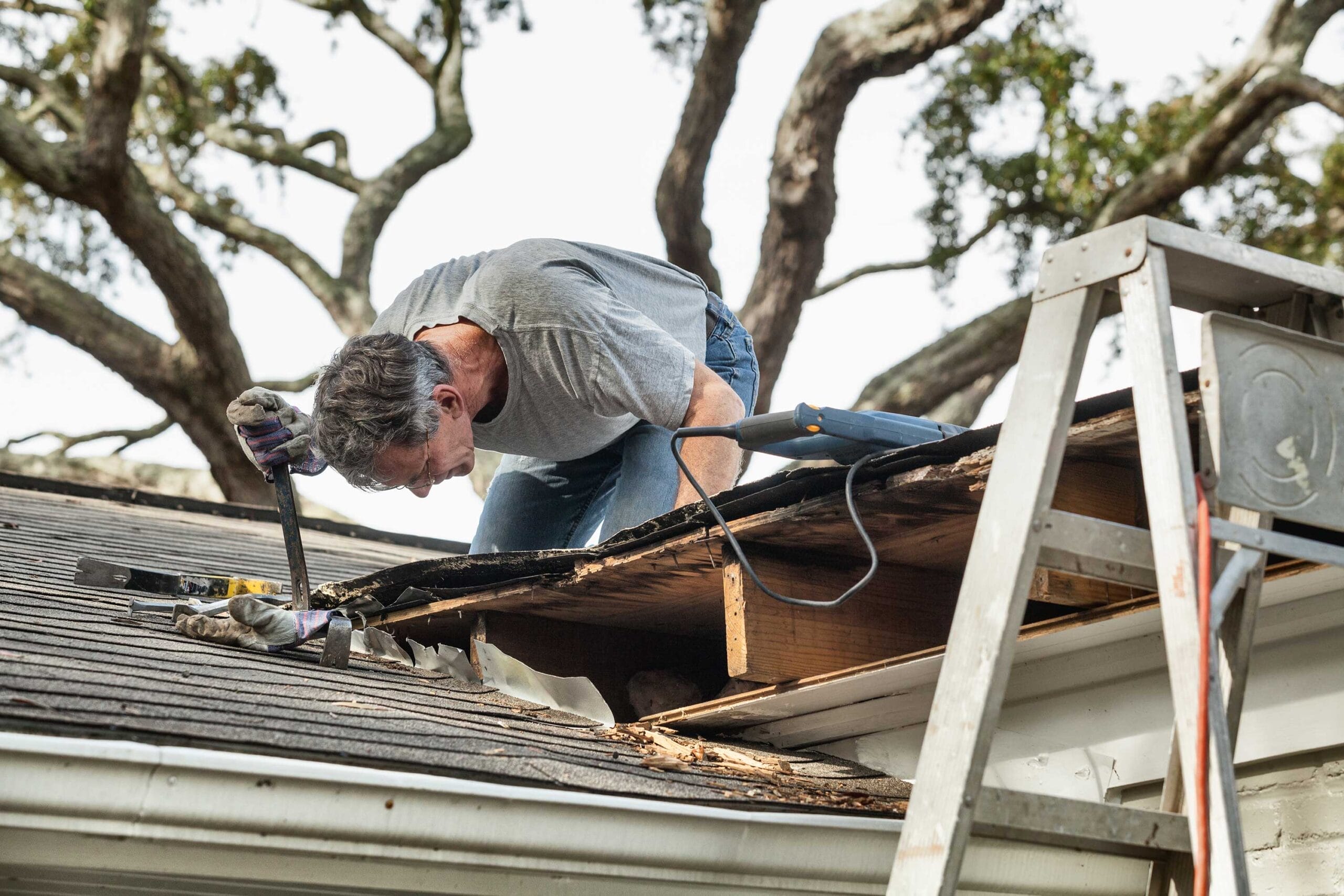 common causes of roof damage, roof damage causes, roof damage signs, Cape Coral